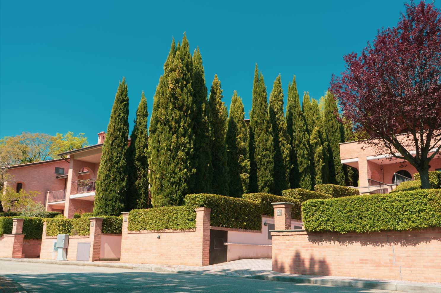 03 assisi 1